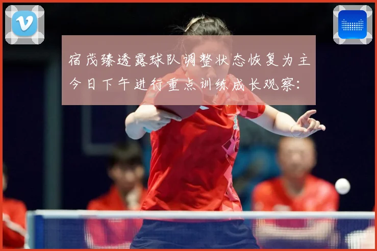 宿茂臻透露球队调整状态恢复为主今日下午进行重点训练成长观察：最新赛事动态与深度分析
